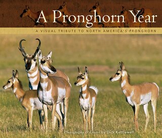 Couverture_A Pronghorn Year