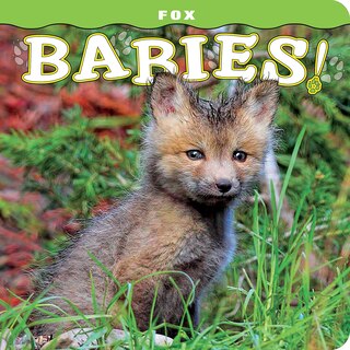Front cover_Fox Babies!