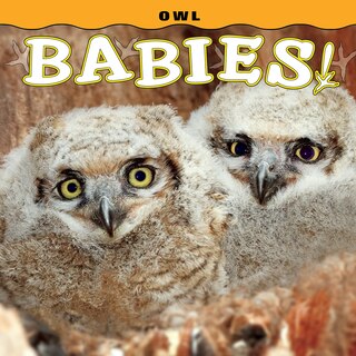 Front cover_Owl Babies!