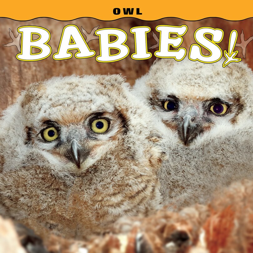 Front cover_Owl Babies!