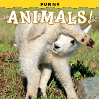 Couverture_Funny Animals!