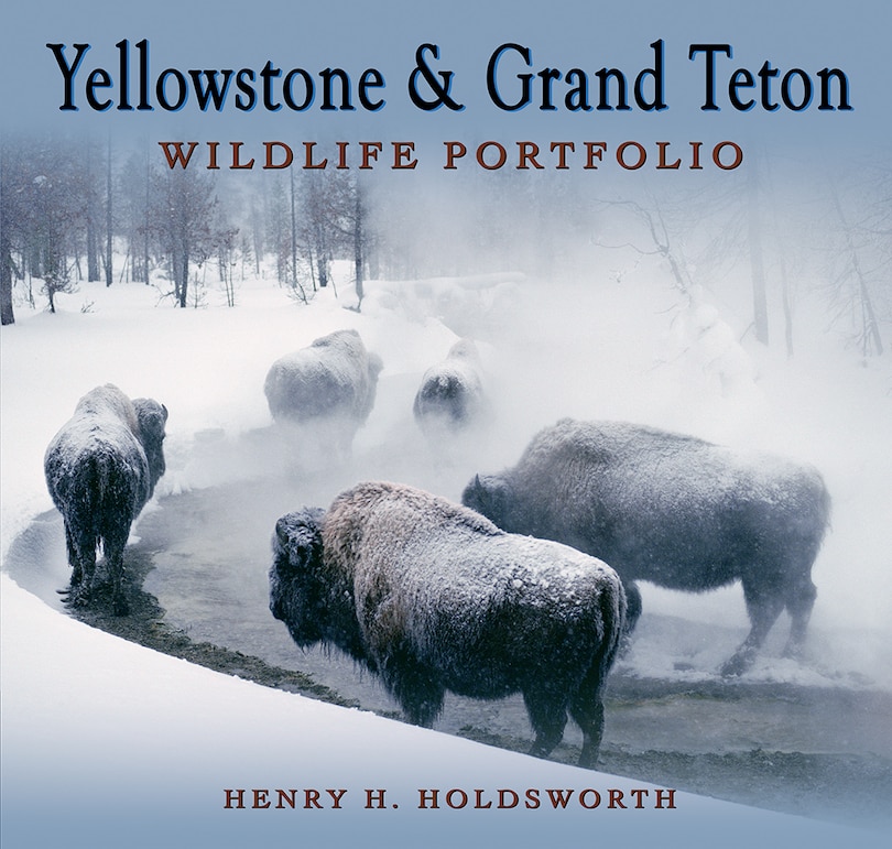 Couverture_Yellowstone & Grand Teton Wildlife Portfolio (Sc)