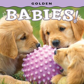 Front cover_Golden Babies!