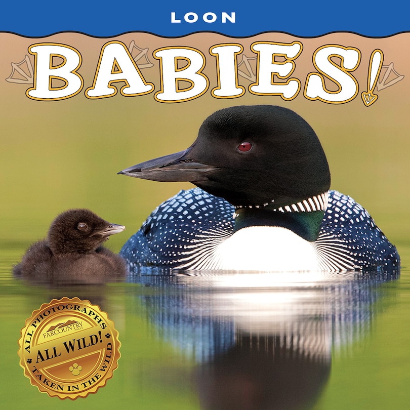Couverture_Loon Babies!