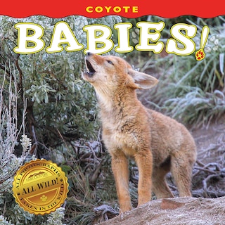 Front cover_Coyote Babies!