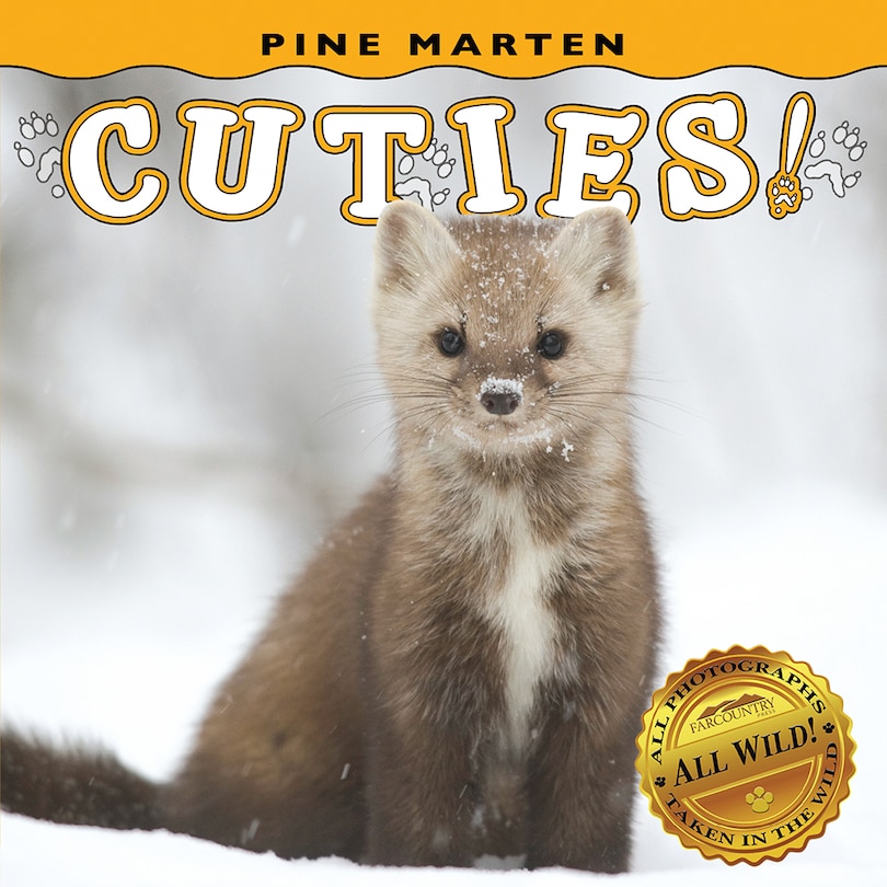 Front cover_Pine Marten Cuties!