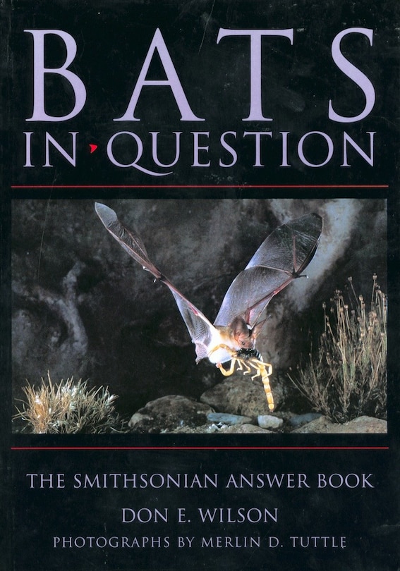 Front cover_Bats In Question