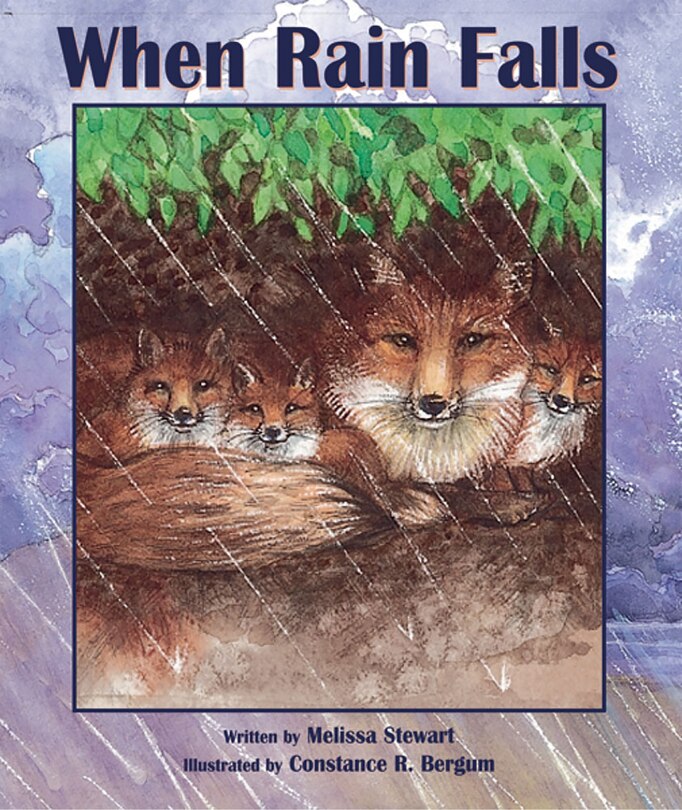 Front cover_When Rain Falls