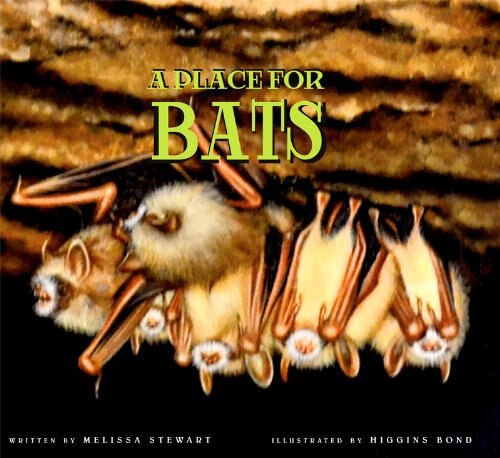 Front cover_A Place for Bats