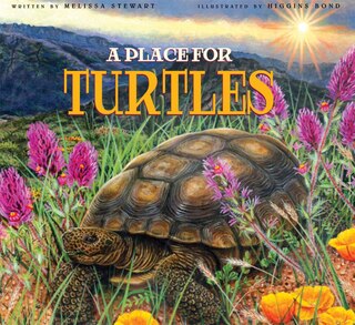 Front cover_A Place For Turtles