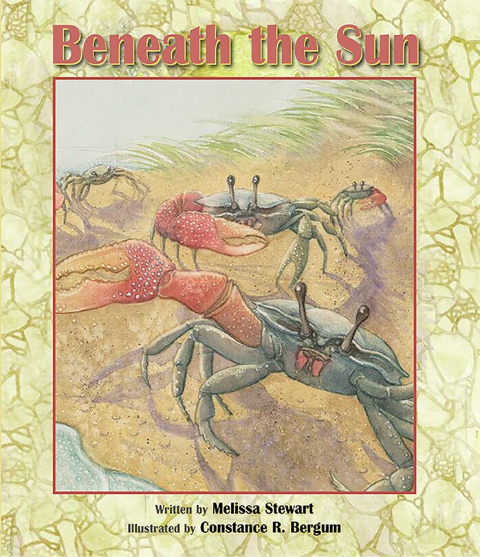 Front cover_Beneath the Sun