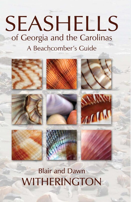 Front cover_Seashells of Georgia and the Carolinas