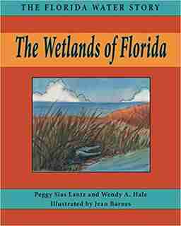The Wetlands Of Florida by Peggy Sias Lantz
