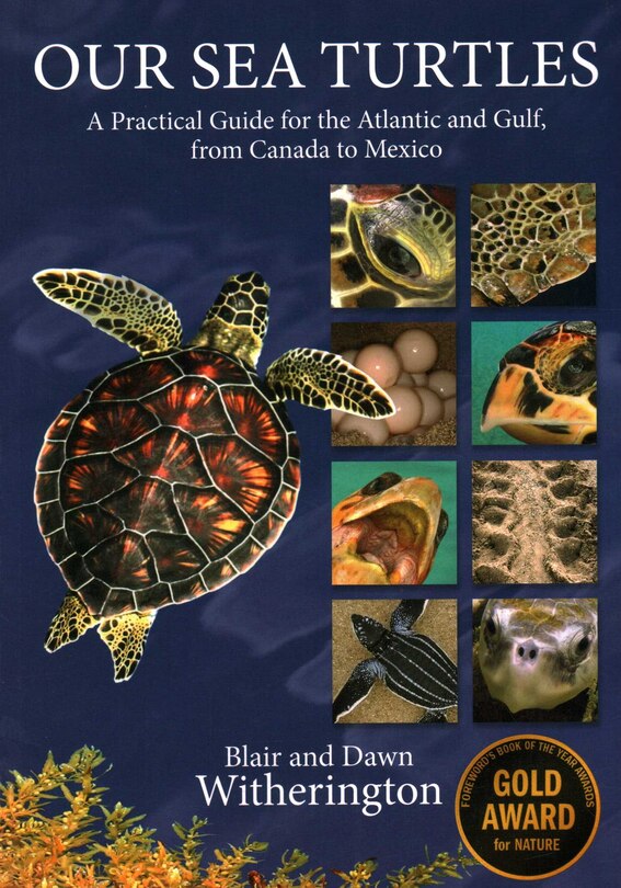 Couverture_Our Sea Turtles