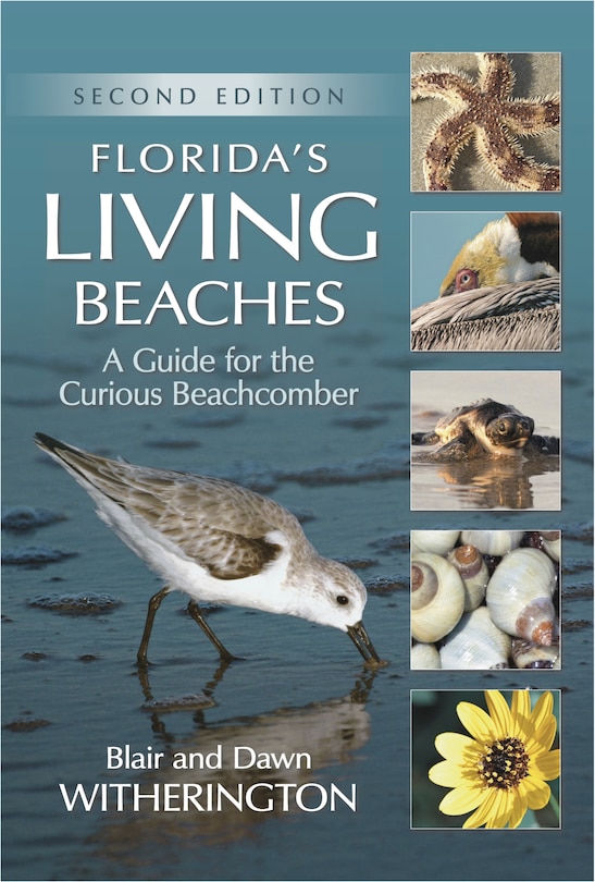 Front cover_Florida's Living Beaches