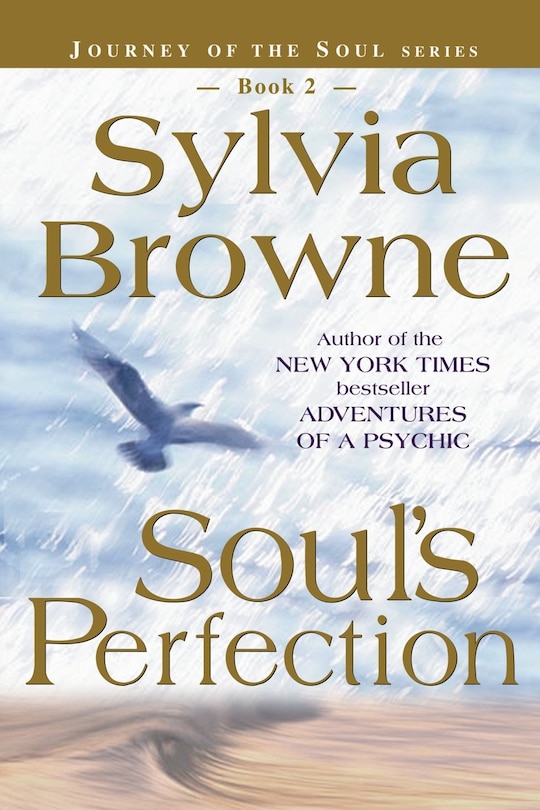 Couverture_Soul's Perfection