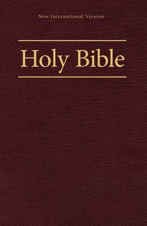 Niv, Worship Bible, Hardcover, Burgundy