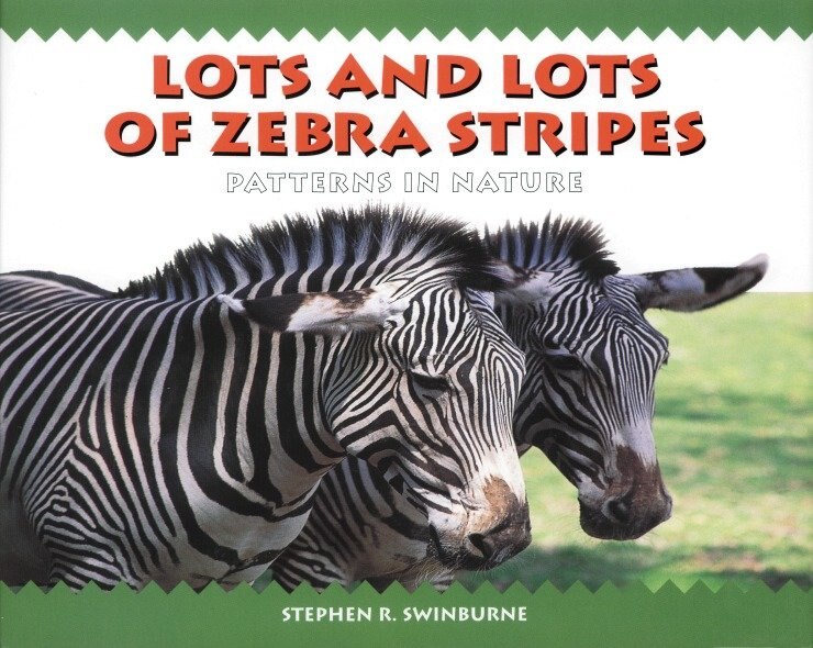 Front cover_Lots and Lots Of Zebra Stripes