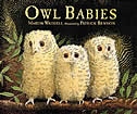 Front cover_Owl Babies