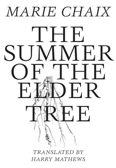 Front cover_Summer Of The Elder Tree