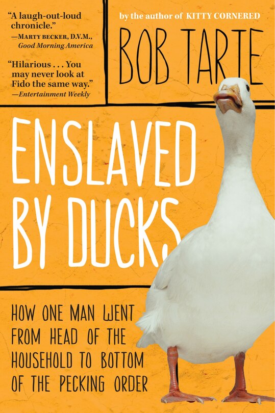 Front cover_Enslaved by Ducks