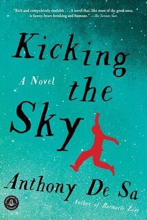 Front cover_Kicking the Sky