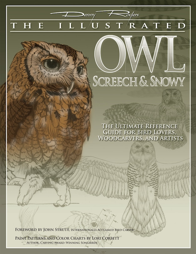 Front cover_Illustrated Owl: Screech & Snowy