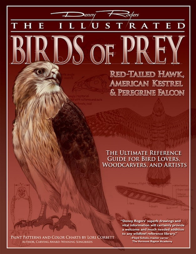 Front cover_Illustrated Birds of Prey: Red-Tailed Hawk, American Kestral, & Peregrine Falcon