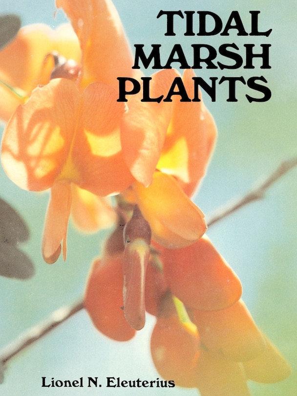 Front cover_Tidal Marsh Plants