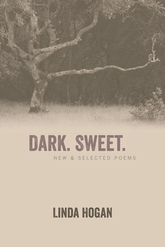 Front cover_Dark. Sweet.