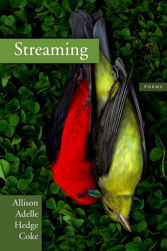 Couverture_Streaming