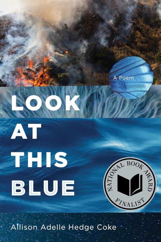 Couverture_Look At This Blue