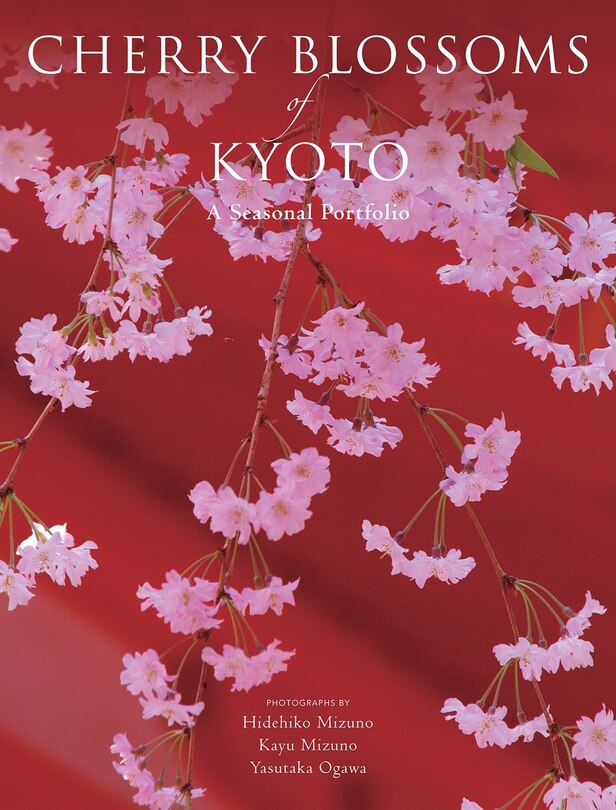 Cherry Blossoms Of Kyoto: A Seasonal Portfolio