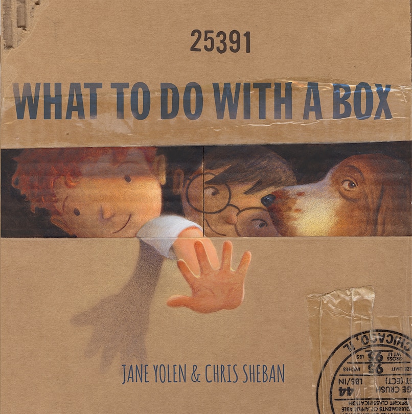 Couverture_What To Do With A Box