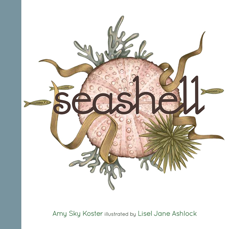 Couverture_Seashell