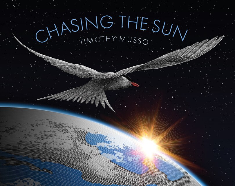 Couverture_Chasing the Sun