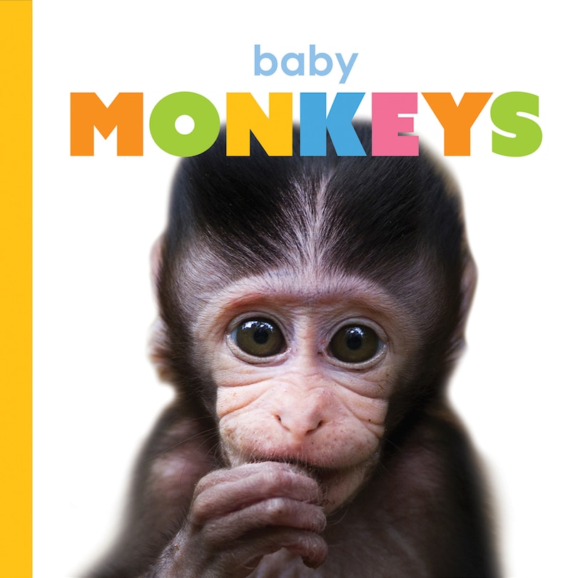 Front cover_Baby Monkeys