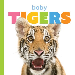 Couverture_Baby Tigers