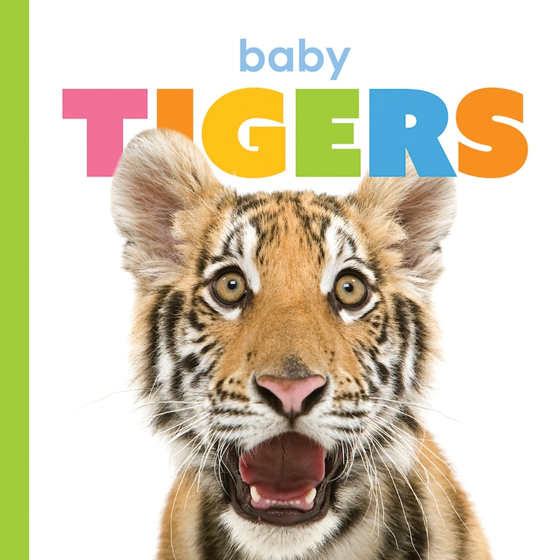Couverture_Baby Tigers