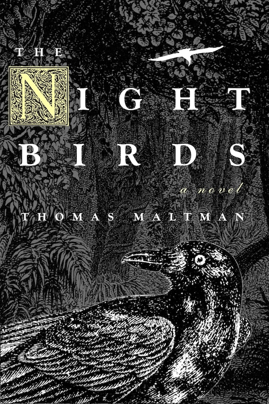 Couverture_The Night Birds