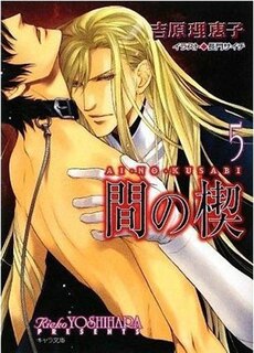 Front cover_Ai No Kusabi Volume 7 (yaoi Novel)