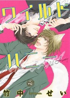 Front cover_Wild Honey (yaoi)