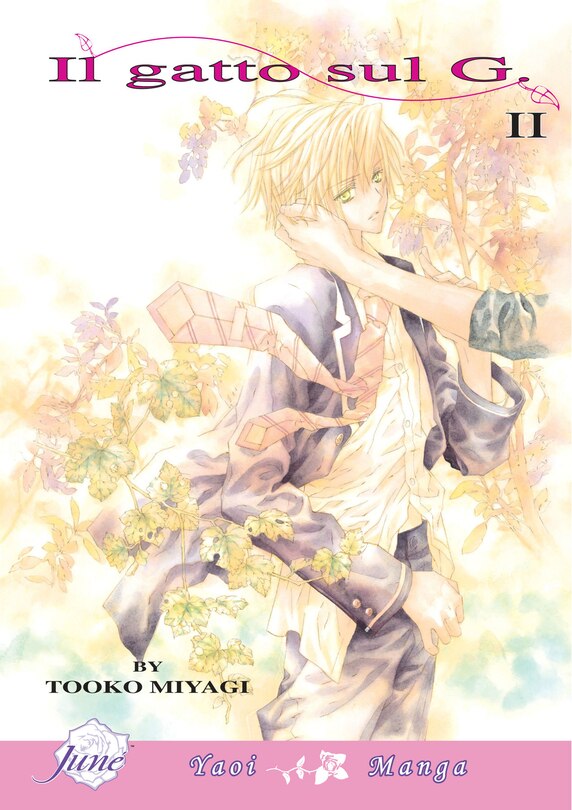 Couverture_Il Gatto Sul G Volume 2 (Yaoi)