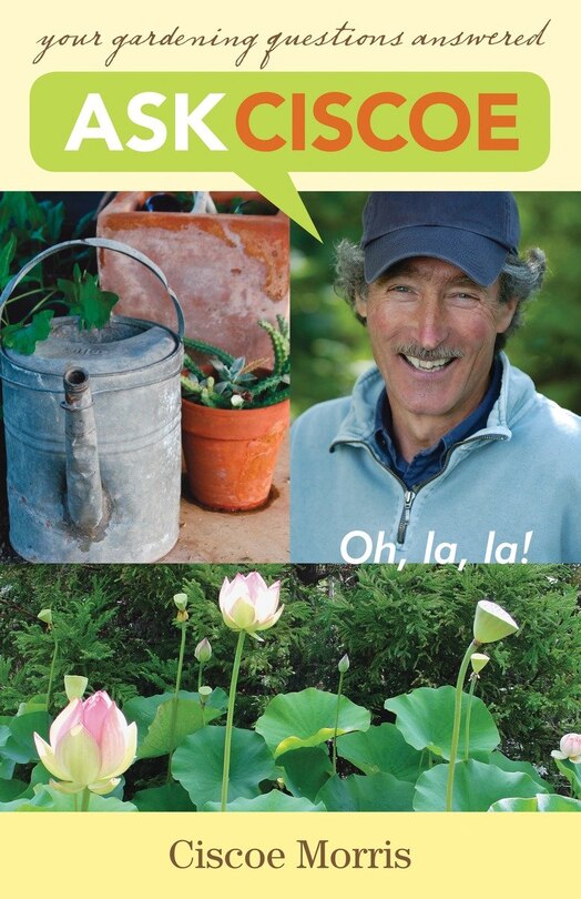 Front cover_Ask Ciscoe