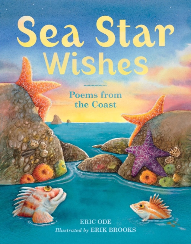 Couverture_Sea Star Wishes