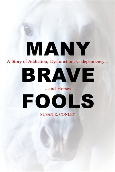 Front cover_Many Brave Fools