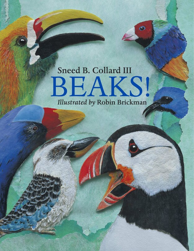Couverture_Beaks!