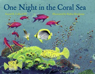 Front cover_One Night in the Coral Sea