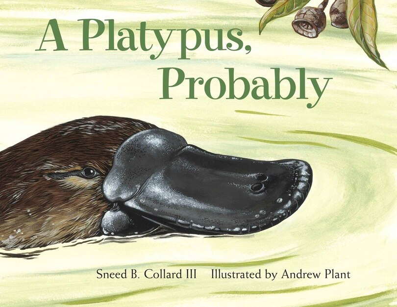 Front cover_A Platypus, Probably