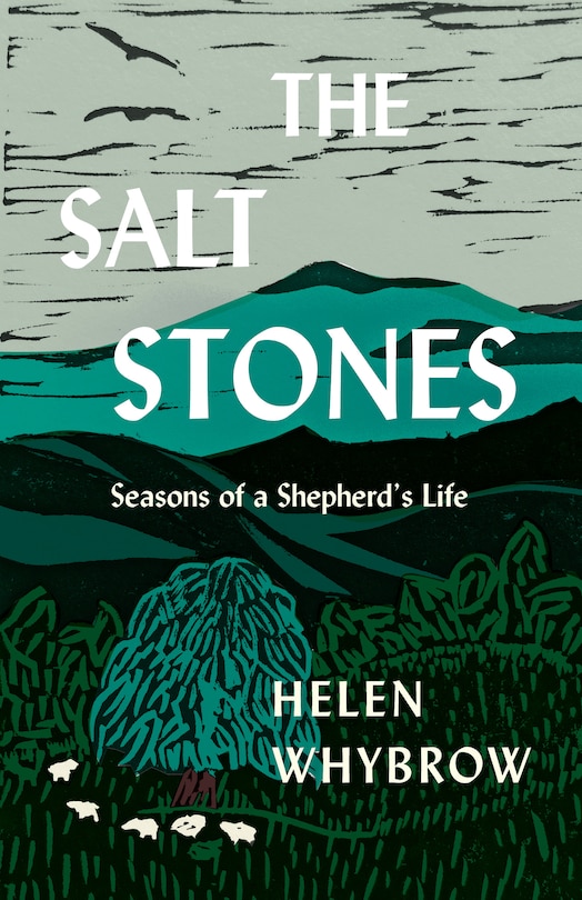 Front cover_The Salt Stones